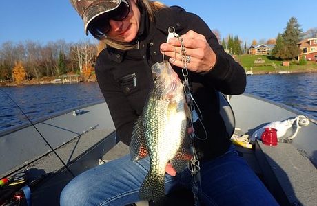 Turtle - Flambeau Flowage