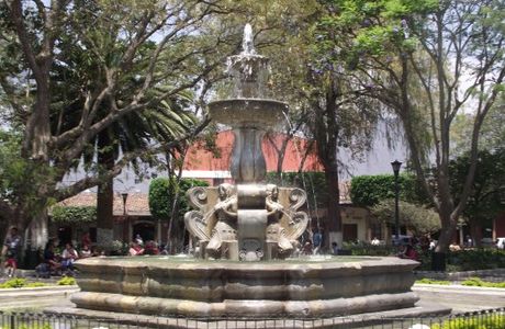 The Plaza Central Park