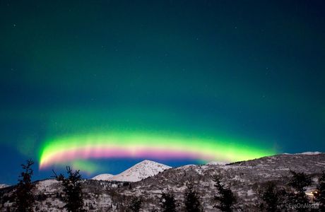 Aurora Show
