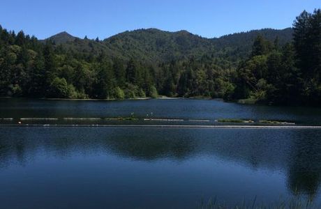 Lake Lagunitas