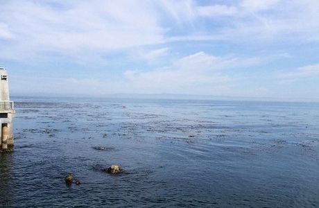 Monterey Bay National Marine Sanctuary