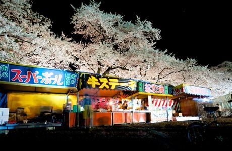 Festival of Kakunodate