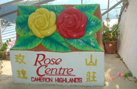 Rose Centre