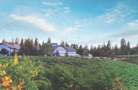 Lava Cap Winery