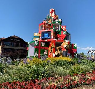 Van Porto Alegre Gramado Brum Tur