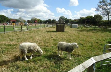 Marsh Farm