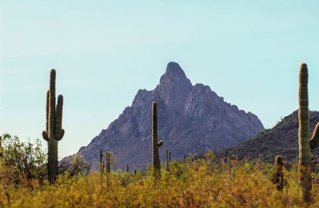 Cabeza Prieta National Wildlife Refuge