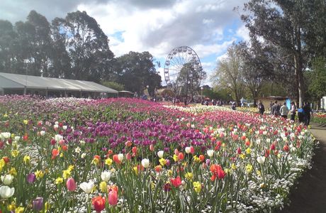 Floriade