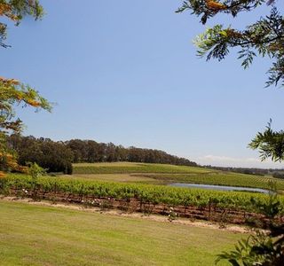 Constable Estate Vineyards