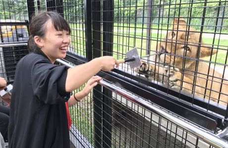 Nasu Safari Park