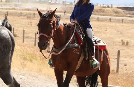 Teton Village Trail Rides