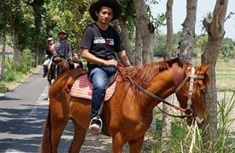 Bale Kuda Stable