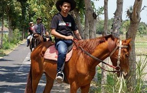 Bale Kuda Stable 1