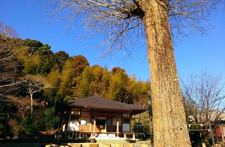 Myoonin Temple