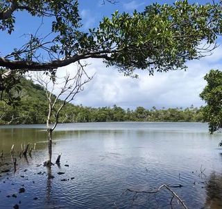 Pala Lake