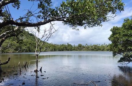 Pala Lake