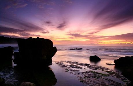 Valerie Martin Photography