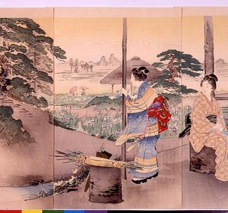 Edo Waso Kobo Miyabi
