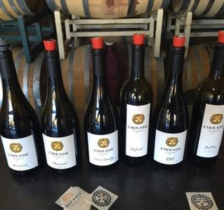 Cholame Vineyard