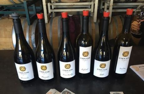 Cholame Vineyard