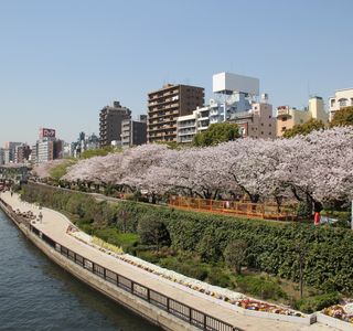 Nishimachi Park