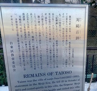 Taioso Trace