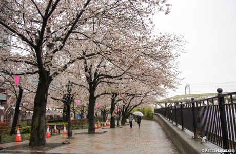 Oshinari Park