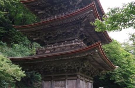 Kahara Park