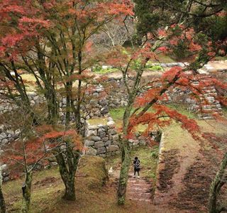 Takada Castle Ruins