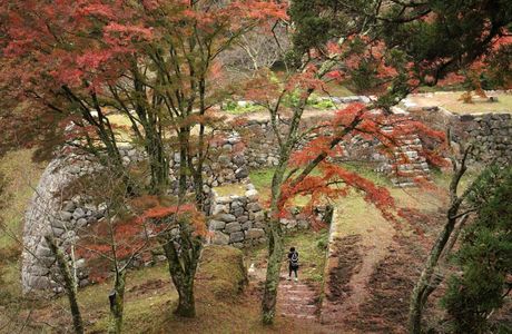 Takada Castle Ruins
