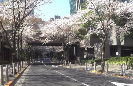 Sakurazaka Parking