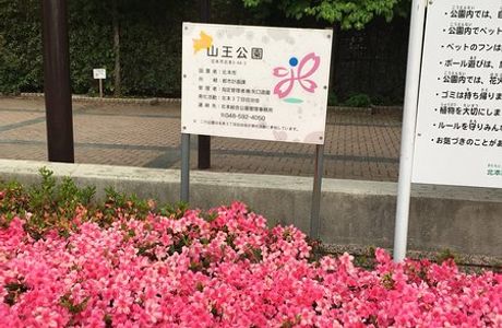 Sanno Park