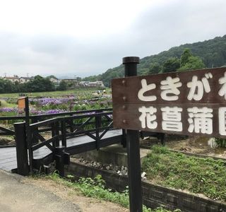 Fureai no Sato Tamagawa