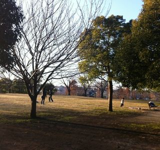Negayado Park