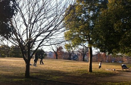Negayado Park