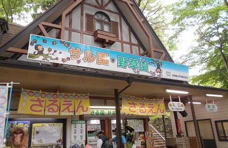 Mt. Takao, Monkey zoo, Wild Grass Garden