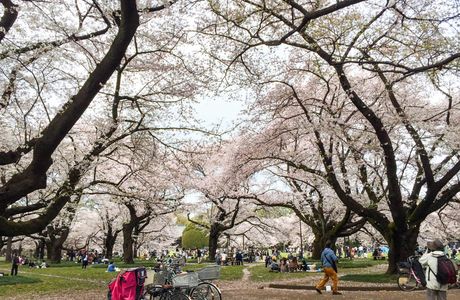 Sanraku Park