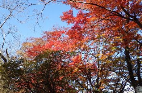 Takaiwa Park