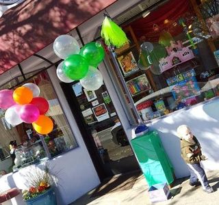 Willits Enchanted Toy Shoppe