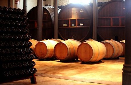Bodega Spinoglio