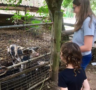 Dayspring Restaurant & Animal Farm