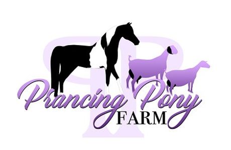 Prancing Pony Farm