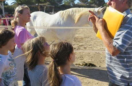 Easy Horse Care Rescue Centre