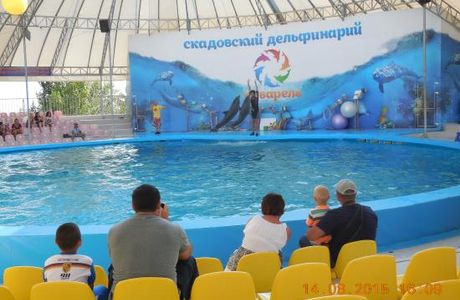 Dolphinarium Akvarel
