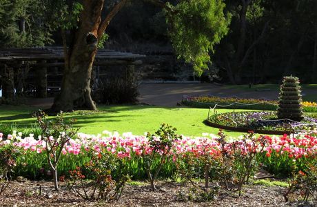 Araluen Botanic Park