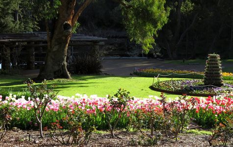 Araluen Botanic Park 1