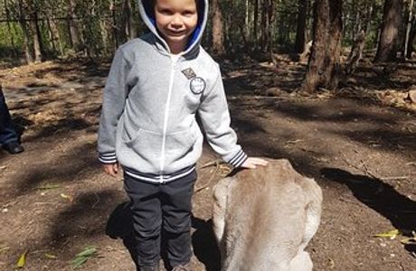 Walkabout Creek Discovery Centre