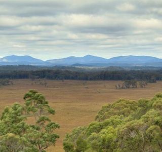 Dempster Plains Lookout