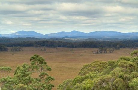 Dempster Plains Lookout