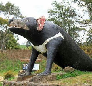 The Big Tasmanian Devil